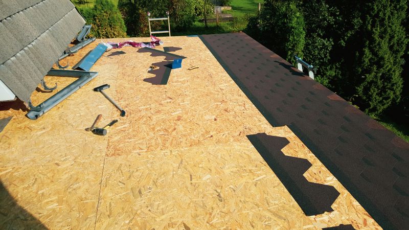 Asphalt Roof Repair