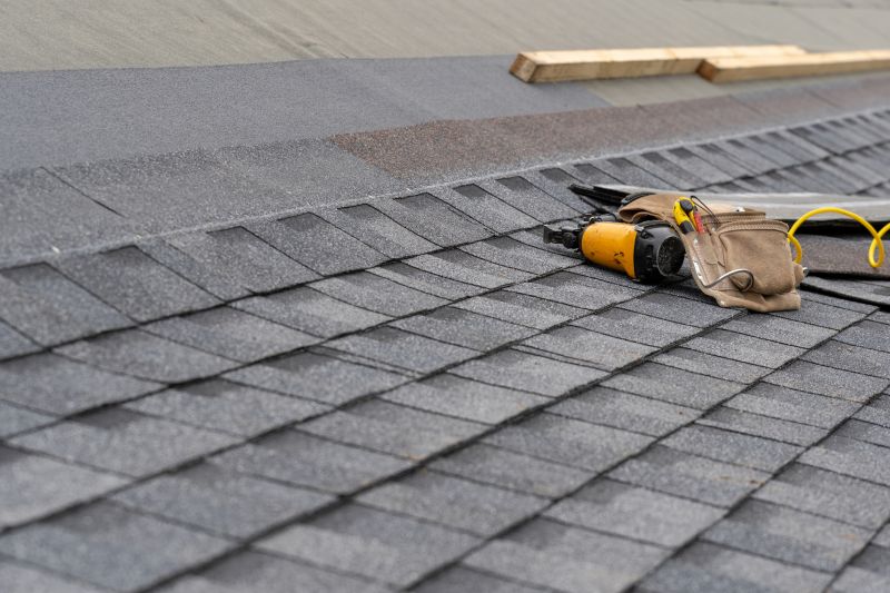 Asphalt Roof Repair detail