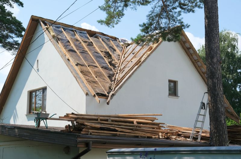 Barn Roof Replacement detail