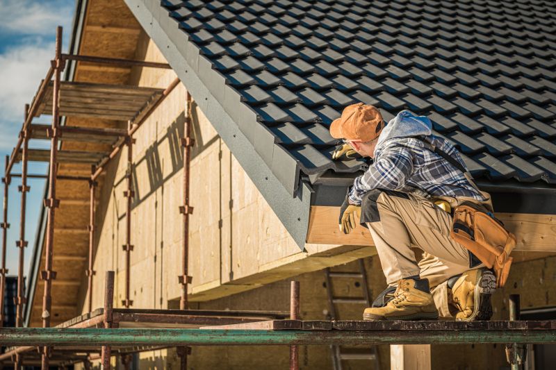 Business Roof Inspection detail
