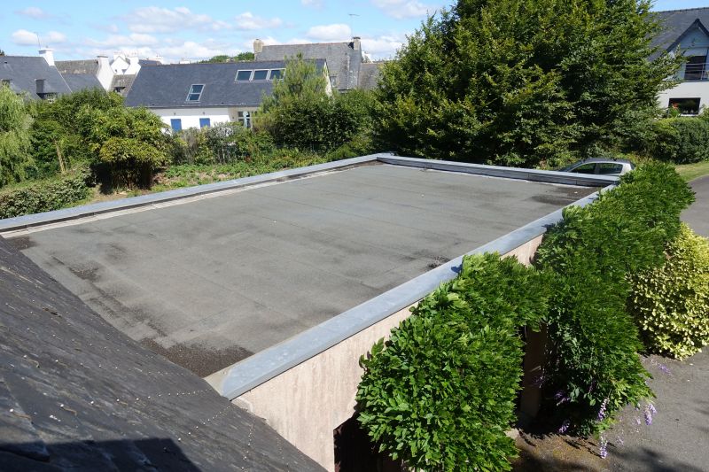 Roof Service detail